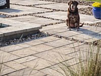Pool Deck Pavers
