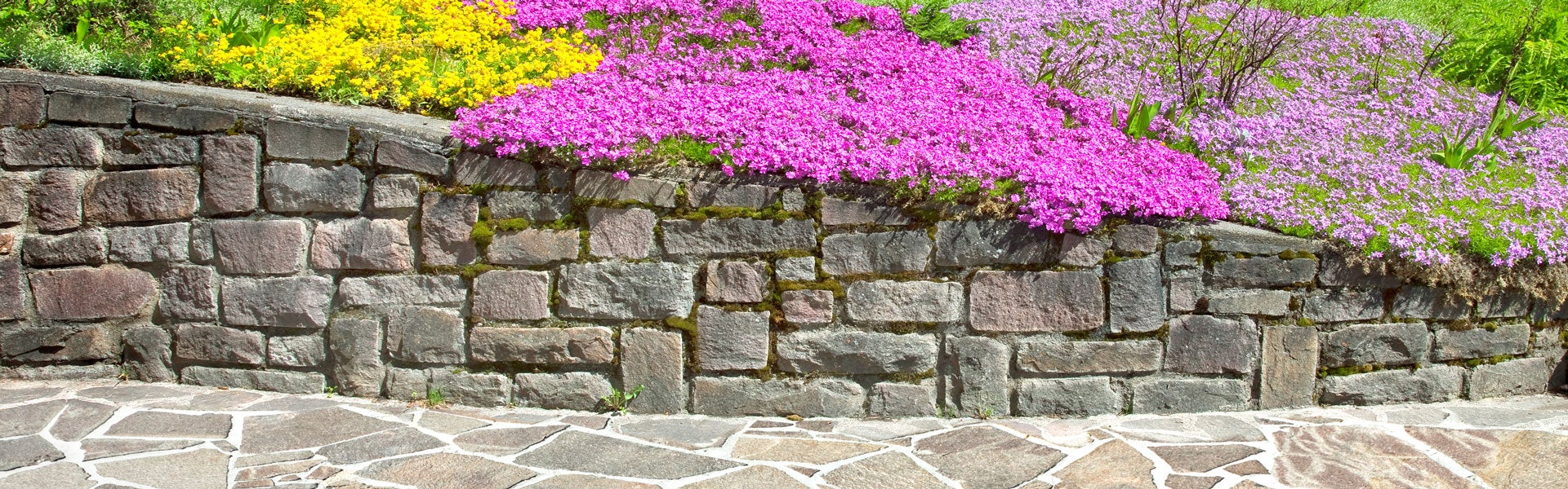 Concrete Pavers Installation